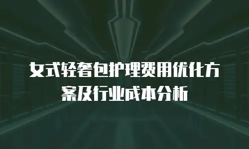 女式轻奢包护理费用优化方案及行业成本分析