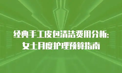 经典手工皮包清洁费用分析：女士月度护理预算指南