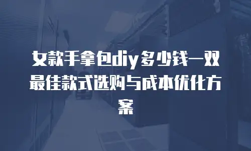 女款手拿包diy多少钱一双 最佳款式选购与成本优化方案