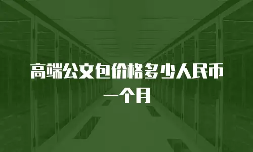 高端公文包价格多少人民币一个月