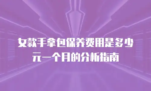 女款手拿包保养费用是多少元一个月的分析指南