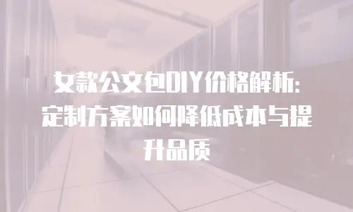 女款公文包DIY价格解析：定制方案如何降低成本与提升品质
