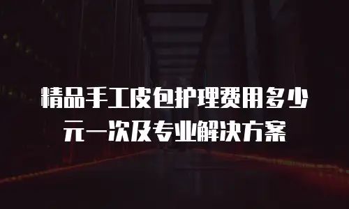 精品手工皮包护理费用多少元一次及专业解决方案