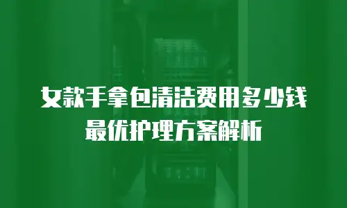 女款手拿包清洁费用多少钱 最优护理方案解析