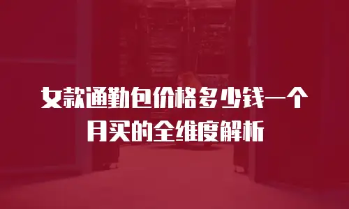 女款通勤包价格多少钱一个月买的全维度解析