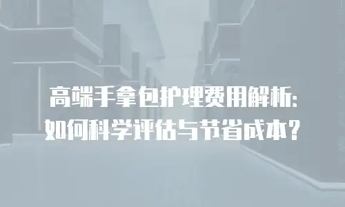 高端手拿包护理费用解析：如何科学评估与节省成本？