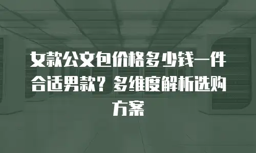 女款公文包价格多少钱一件合适男款？多维度解析选购方案