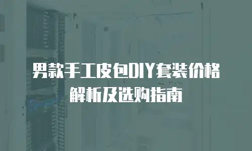 男款手工皮包DIY套装价格解析及选购指南
