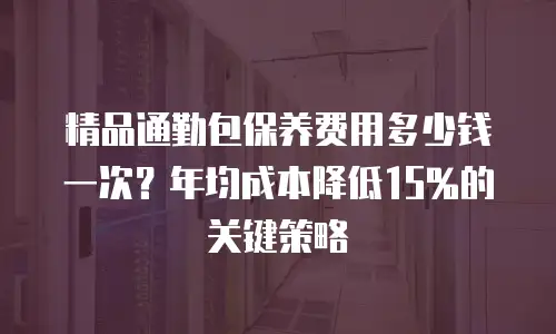 精品通勤包保养费用多少钱一次？年均成本降低15%的关键策略