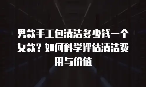 男款手工包清洁多少钱一个女款？如何科学评估清洁费用与价值