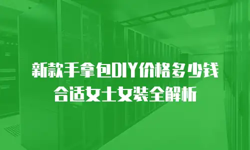 新款手拿包DIY价格多少钱合适女士女装全解析