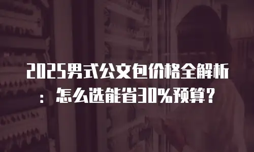 2025男式公文包价格全解析：怎么选能省30%预算？
