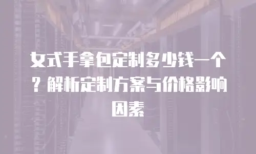 女式手拿包定制多少钱一个？解析定制方案与价格影响因素