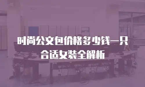 时尚公文包价格多少钱一只合适女装全解析
