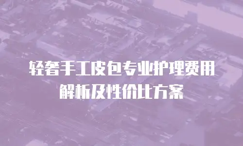 轻奢手工皮包专业护理费用解析及性价比方案