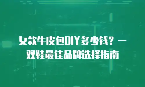 女款牛皮包DIY多少钱？一双鞋最佳品牌选择指南