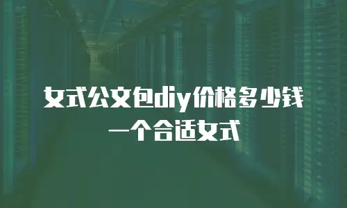 女式公文包diy价格多少钱一个合适女式