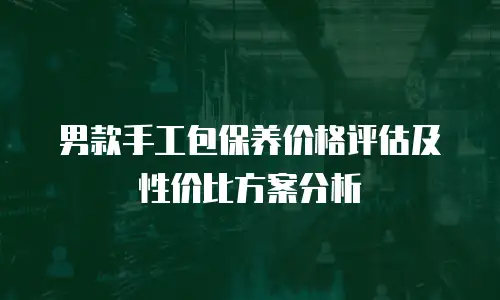 男款手工包保养价格评估及性价比方案分析