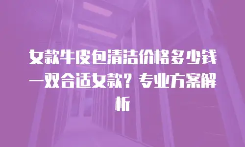 女款牛皮包清洁价格多少钱一双合适女款？专业方案解析