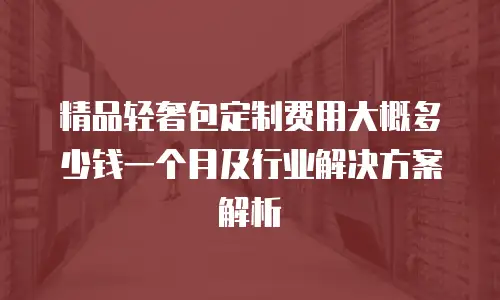 精品轻奢包定制费用大概多少钱一个月及行业解决方案解析