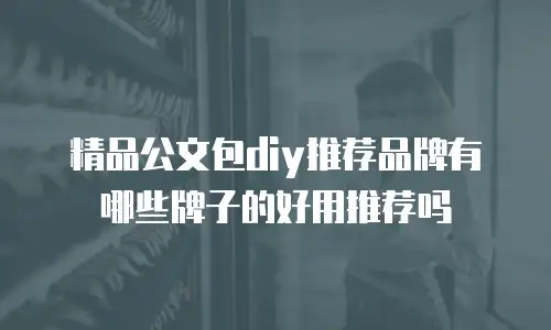 精品公文包diy推荐品牌有哪些牌子的好用推荐吗