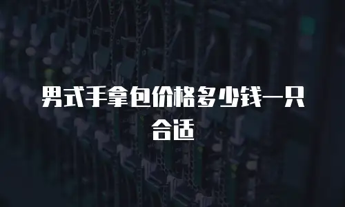 男式手拿包价格多少钱一只合适