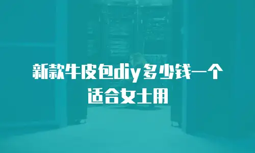 新款牛皮包diy多少钱一个适合女士用