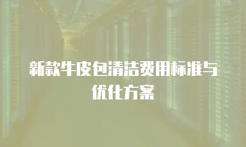 新款牛皮包清洁费用标准与优化方案