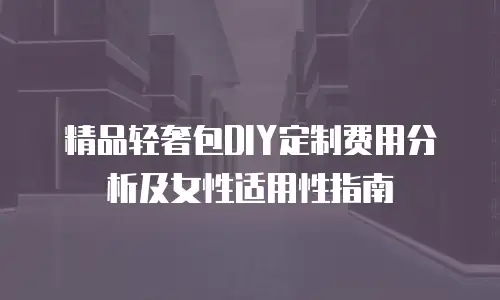 精品轻奢包DIY定制费用分析及女性适用性指南