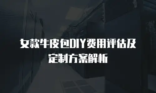 女款牛皮包DIY费用评估及定制方案解析