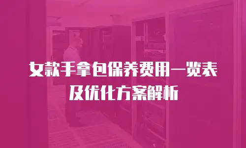 女款手拿包保养费用一览表及优化方案解析