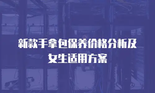 新款手拿包保养价格分析及女生适用方案