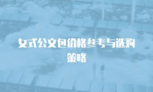 女式公文包价格参考与选购策略