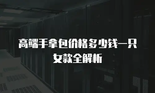 高端手拿包价格多少钱一只女款全解析