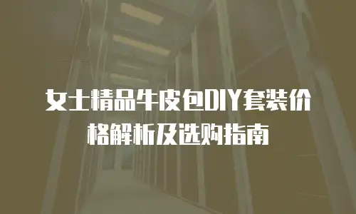 女士精品牛皮包DIY套装价格解析及选购指南