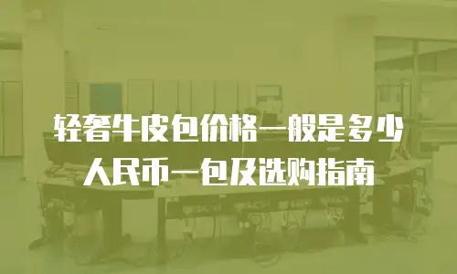 轻奢牛皮包价格一般是多少人民币一包及选购指南