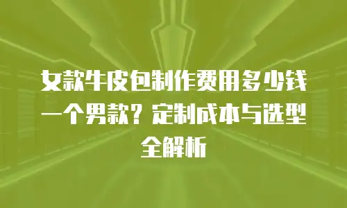 女款牛皮包制作费用多少钱一个男款？定制成本与选型全解析
