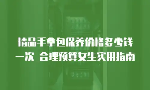 精品手拿包保养价格多少钱一次 合理预算女生实用指南