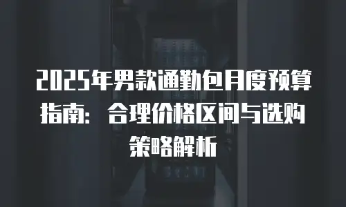 2025年男款通勤包月度预算指南：合理价格区间与选购策略解析