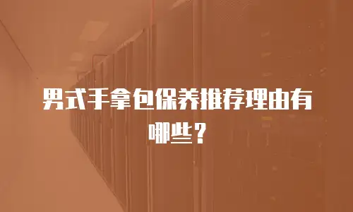 男式手拿包保养推荐理由有哪些？