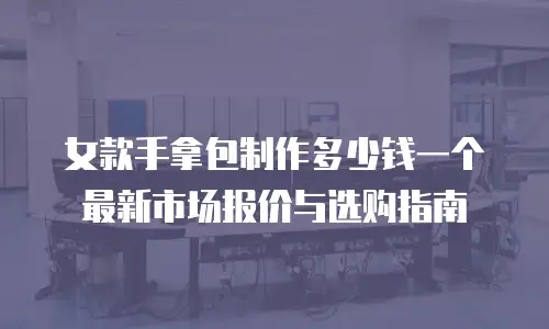 女款手拿包制作多少钱一个 最新市场报价与选购指南