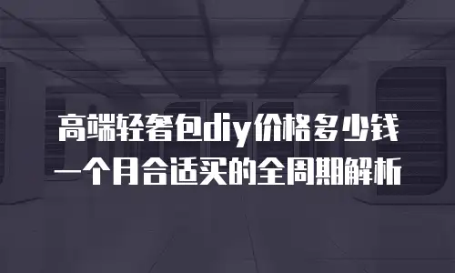 高端轻奢包diy价格多少钱一个月合适买的全周期解析