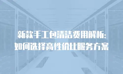 新款手工包清洁费用解析：如何选择高性价比服务方案