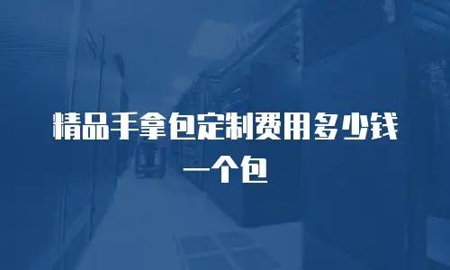 精品手拿包定制费用多少钱一个包