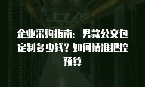 企业采购指南：男款公文包定制多少钱？如何精准把控预算