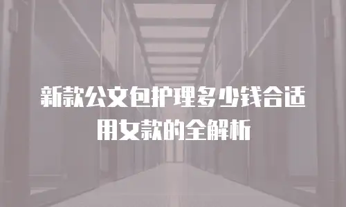 新款公文包护理多少钱合适用女款的全解析