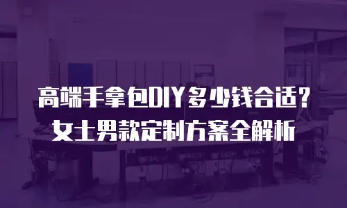 高端手拿包DIY多少钱合适？女士男款定制方案全解析