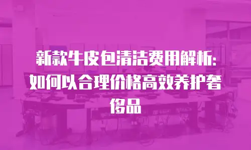 新款牛皮包清洁费用解析：如何以合理价格高效养护奢侈品
