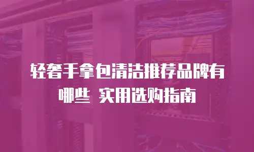 轻奢手拿包清洁推荐品牌有哪些 实用选购指南