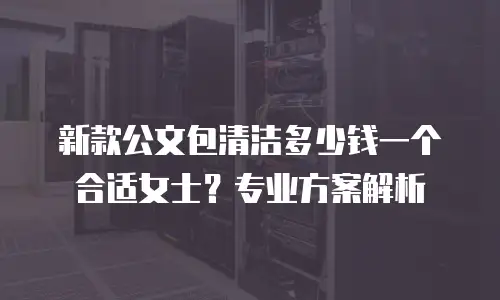 新款公文包清洁多少钱一个合适女士？专业方案解析